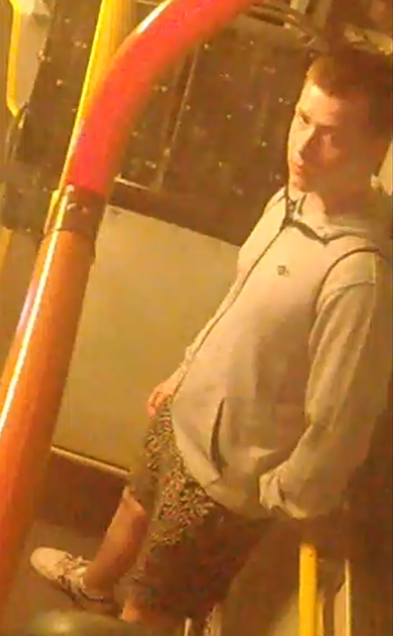 Przestępstwo o charakterze seksualnym. Szuka go policja – zdjęcie artykułu z Lubon.net.pl