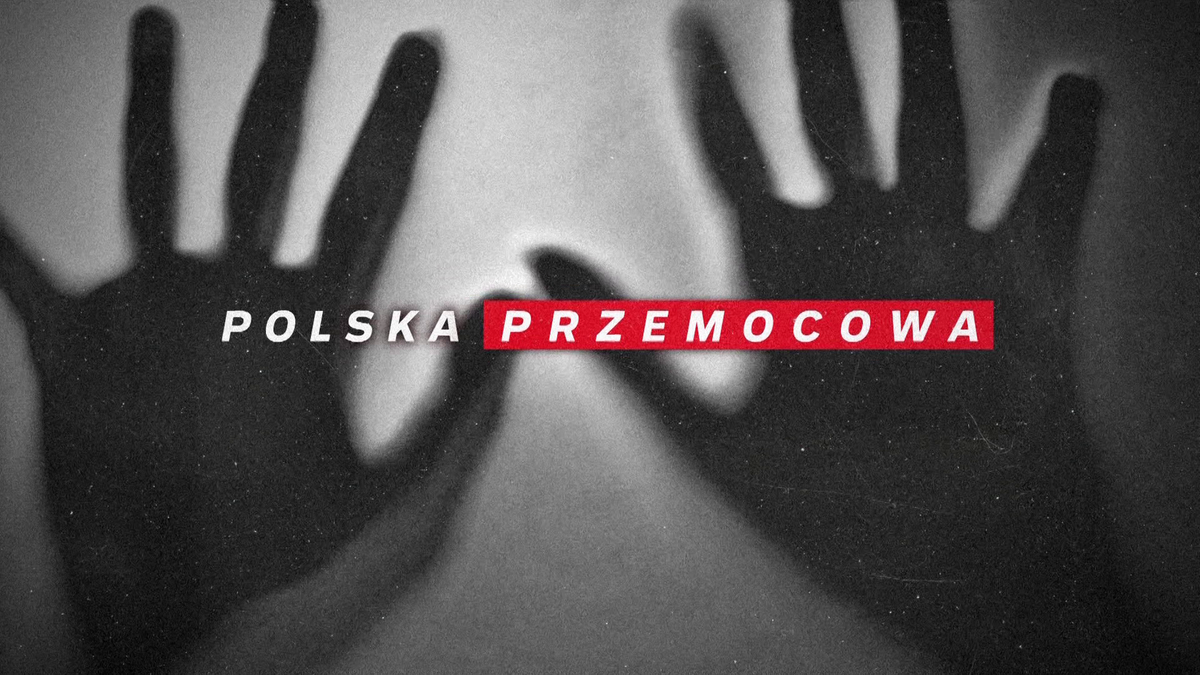 "Polska Przemocowa". Wstrząsające nagrania ofiar i interwencji policjantów – zdjęcie artykułu z Lubon.net.pl