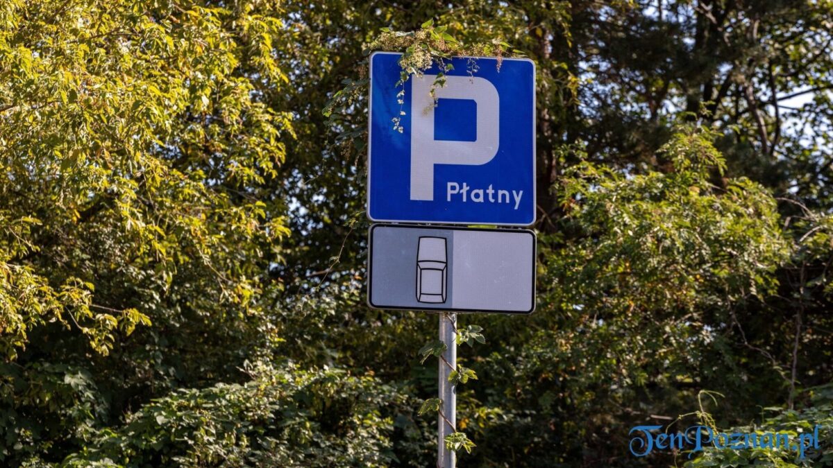 Uwaga kierowcy! Nowa organizacja ruchu na poznańskich Ogrodach – zdjęcie artykułu z Lubon.net.pl