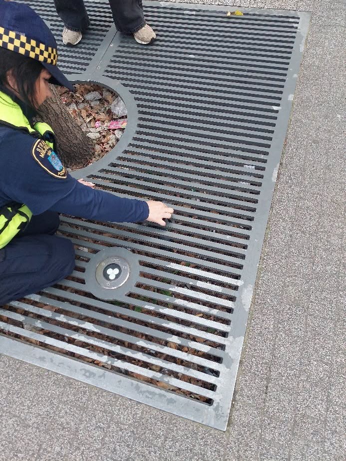 Nietypowa interwencja strażników miejskich w centrum Poznania – zdjęcie artykułu z Lubon.net.pl