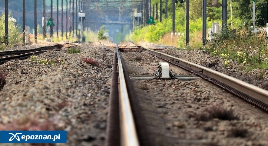 Więcej pociągów połączy Poznań z sąsiednim województwem. Połączenie wróci po dwóch latach przerwy – zdjęcie artykułu z Lubon.net.pl