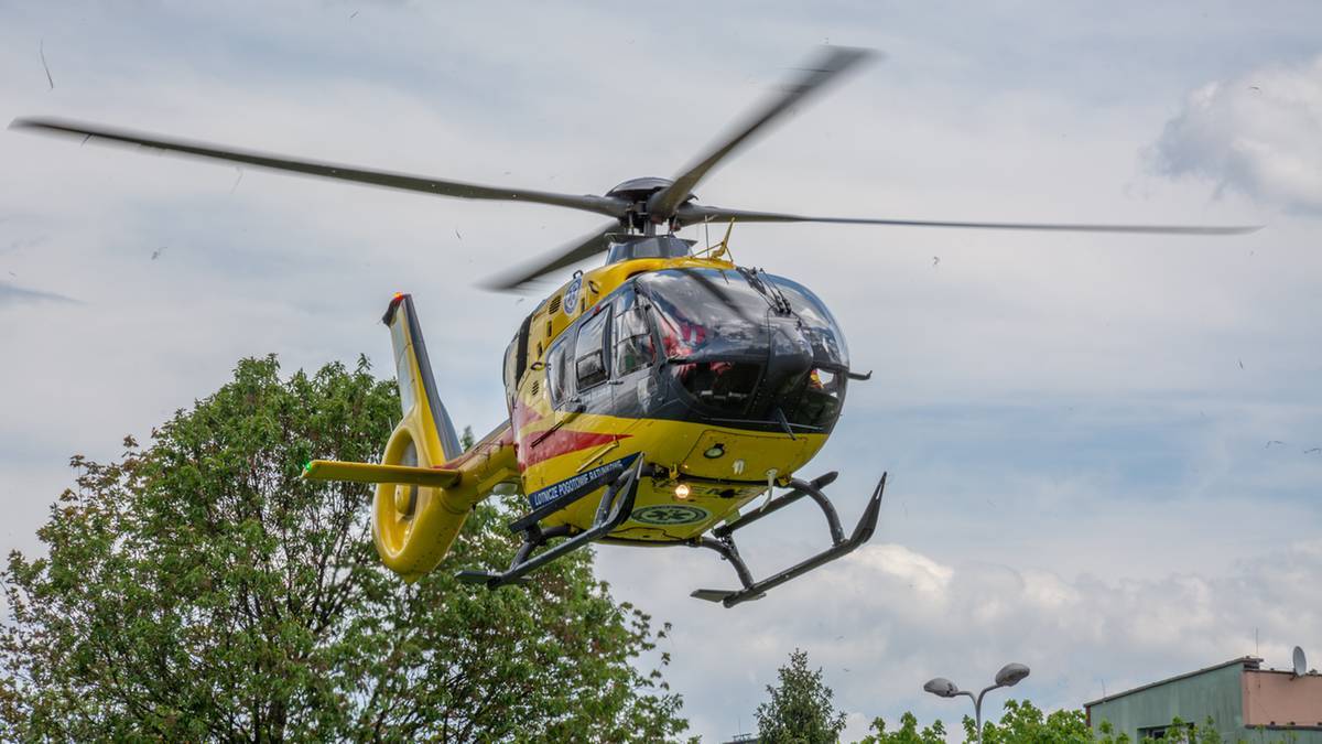 Drzewo runęło na przechodniów w centrum Kołobrzegu. Dwie osoby ranne – zdjęcie artykułu z Lubon.net.pl