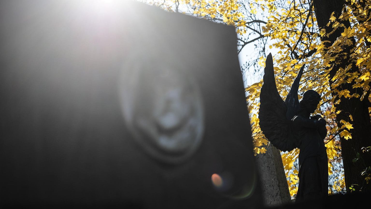 Krakowska policja sprawdza zgłoszenie o zniszczeniu nagrobka ukraińskiego pisarza – zdjęcie artykułu z Lubon.net.pl