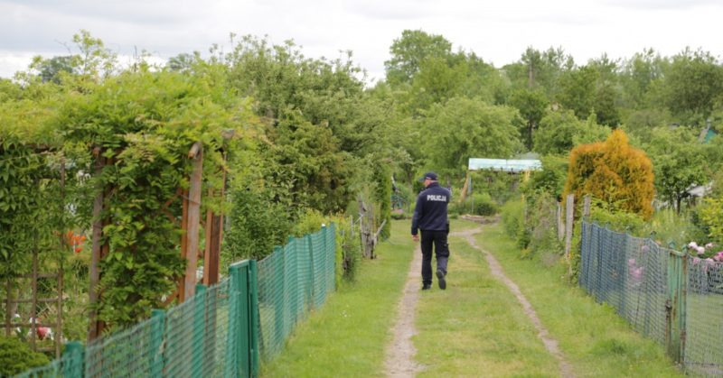 Akcja policji na działkach w regionie. Jedna z zatrzymanych osób trafiła do izby dziecka – zdjęcie artykułu z Lubon.net.pl