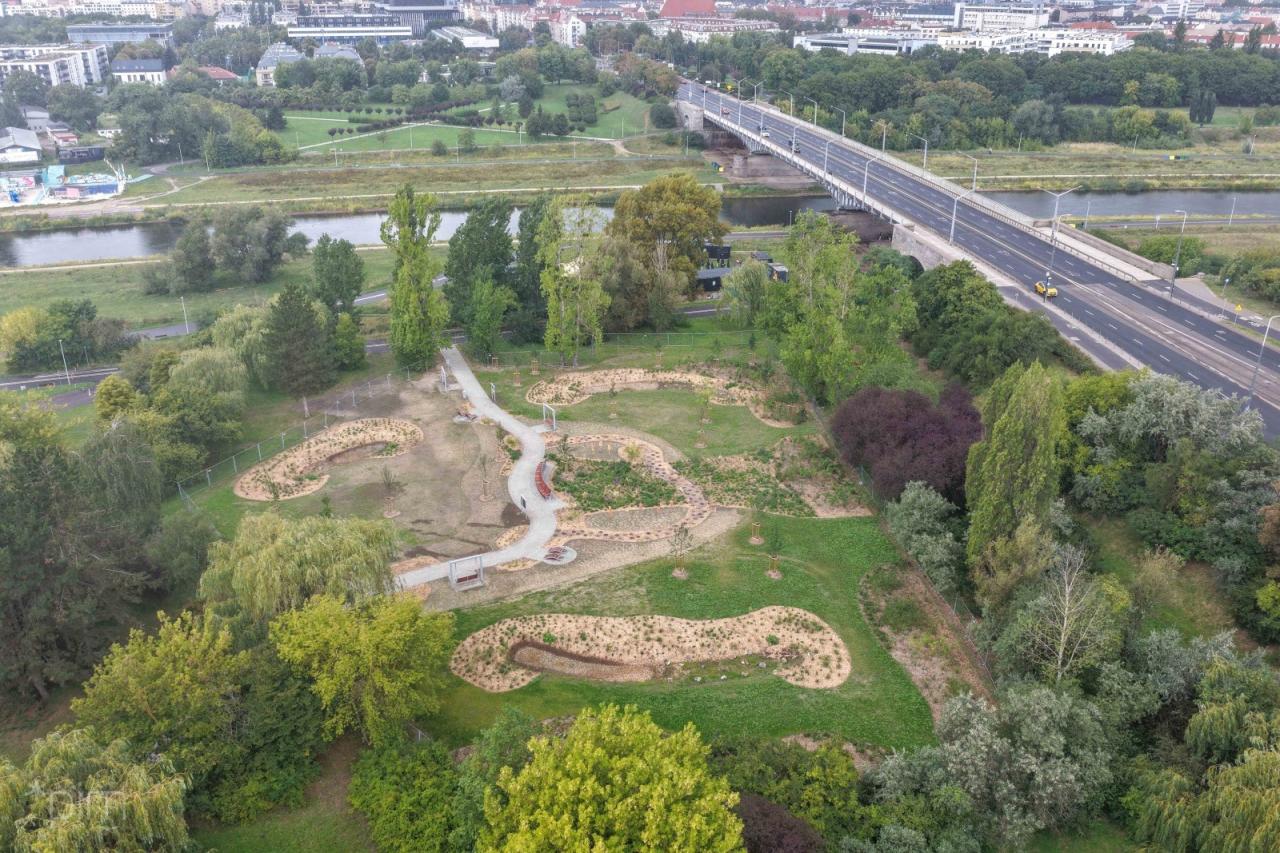 Zamiast betonowego placu nowa zieleń! – zdjęcie artykułu z Lubon.net.pl