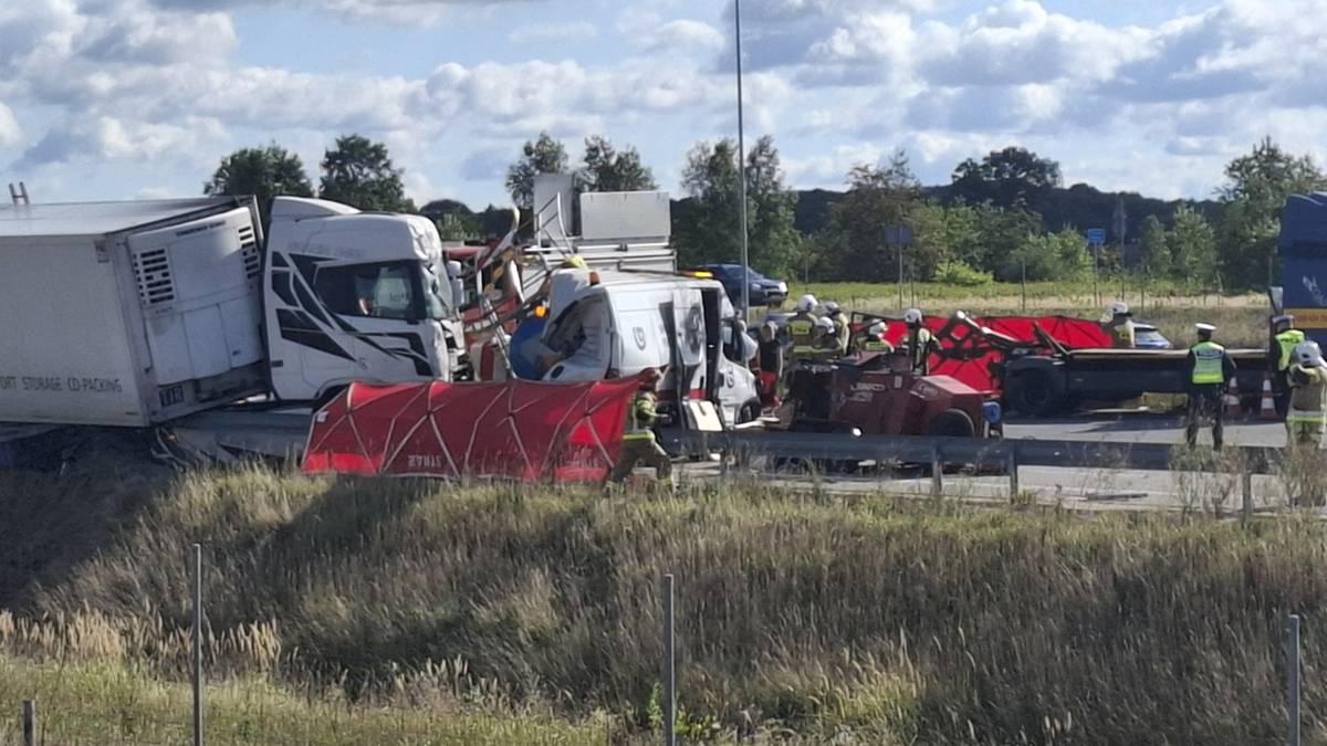 Tragedia na autostradzie A1. Nie żyje pięć osób, trasa zablokowana – zdjęcie artykułu z Lubon.net.pl