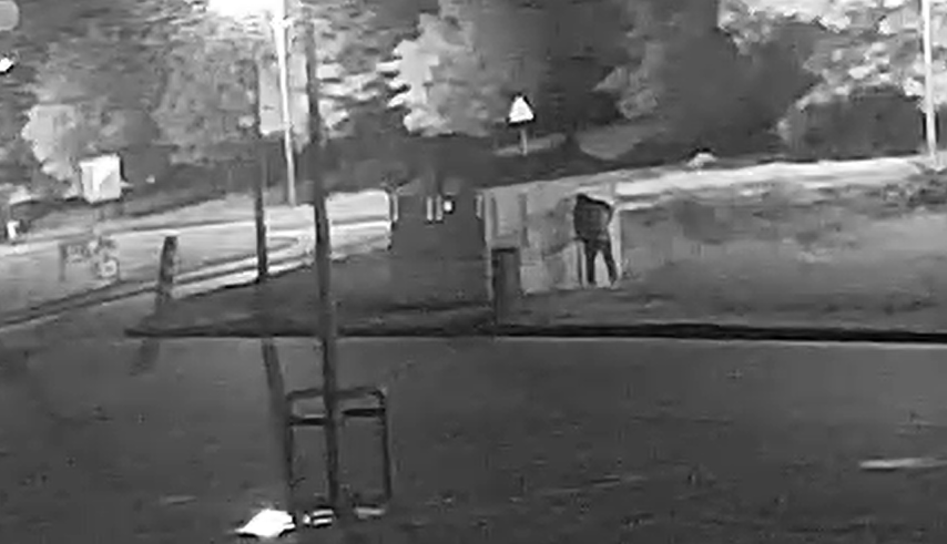 Jest zarzut po zniszczeniu stoiska z truskawkami w Luboniu. Policja wytypowała podejrzanego – zdjęcie artykułu z Lubon.net.pl