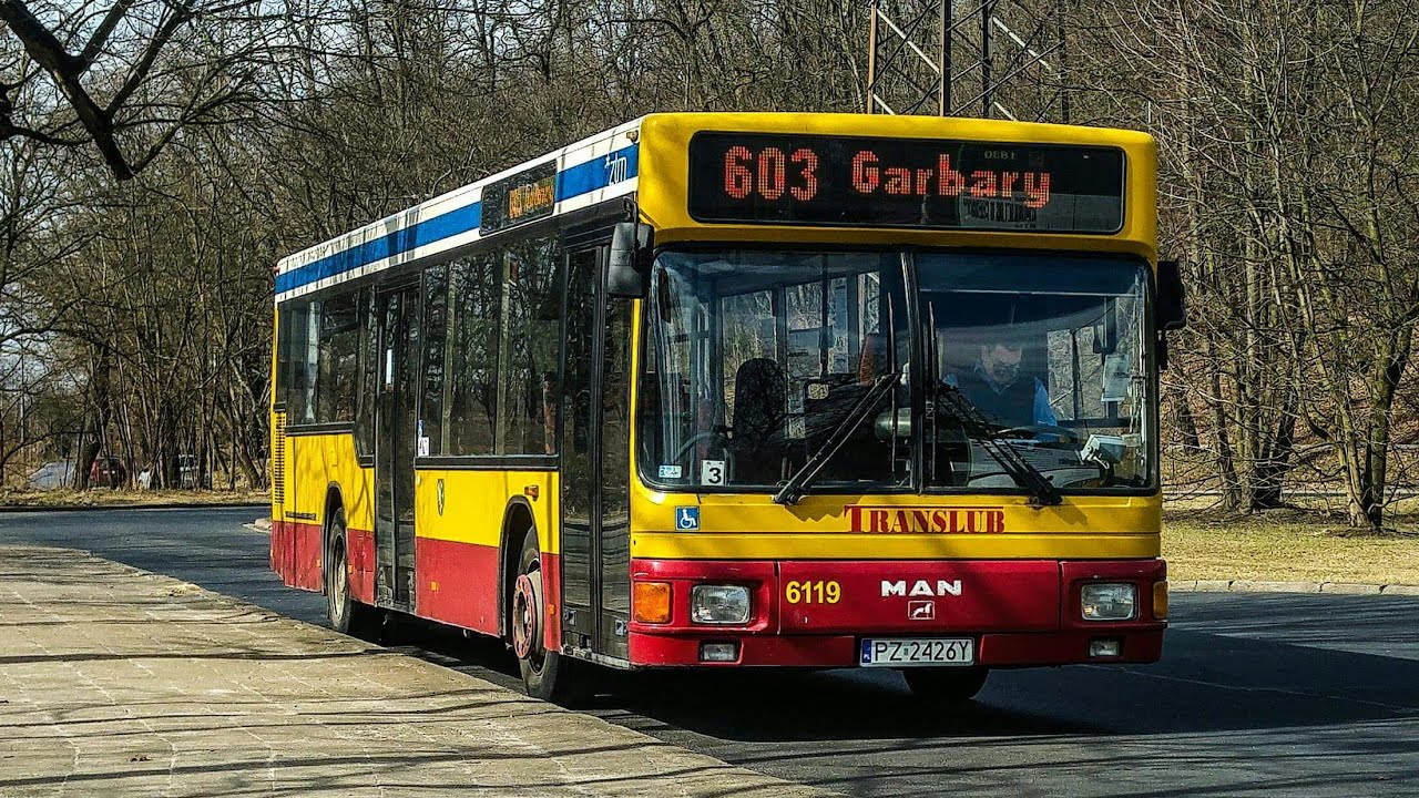Letni rozkład jazdy i zielony autobus – zdjęcie artykułu z Lubon.net.pl