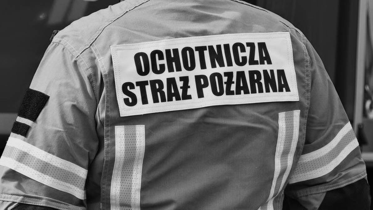 Został użądlony przez szerszenia. Tragiczna śmierć strażaka – zdjęcie artykułu z Lubon.net.pl