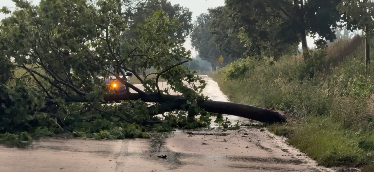 Blisko 115 interwencji strażaków w związki z burzami w regionie. Trudna niedziela, a to nie koniec – zdjęcie artykułu z Lubon.net.pl