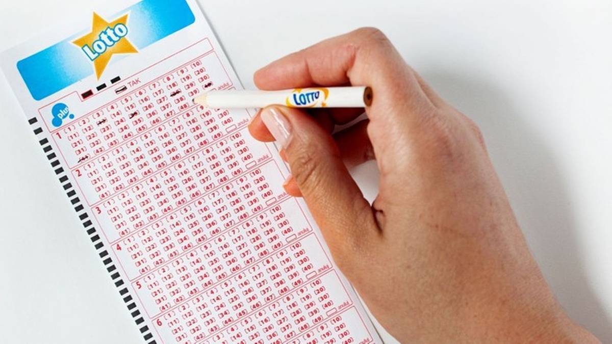 Wyniki Lotto na piątek 4 września. Sprawdź szczęśliwe liczby – zdjęcie artykułu z Lubon.net.pl