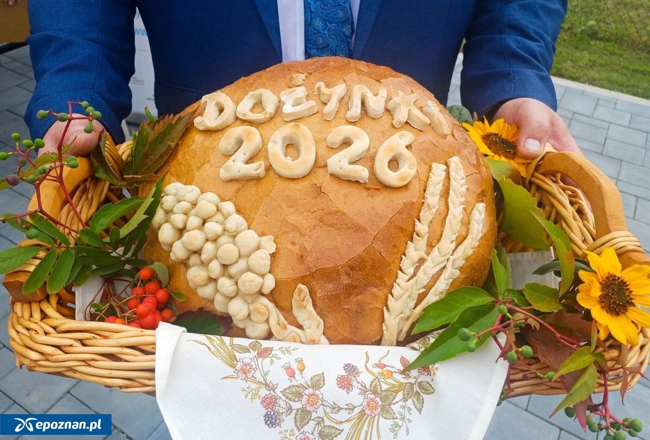 2-latek z sepsą salmonellową po dożynkach. Zatruł się jedzeniem? – zdjęcie artykułu z Lubon.net.pl