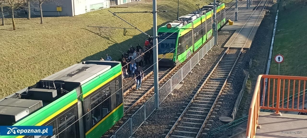 Atak na motorniczą w tramwaju. Sprawca zatrzymany – zdjęcie artykułu z Lubon.net.pl