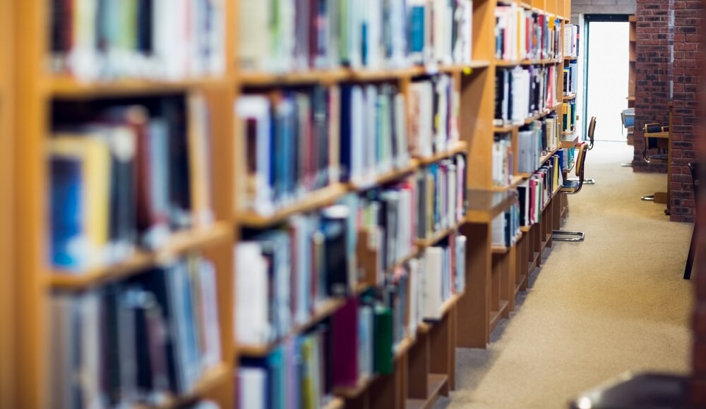 Biblioteka w Luboniu: Czytanie dla każdego – odkryj nasze wyjątkowe zasoby! – zdjęcie artykułu z Lubon.net.pl